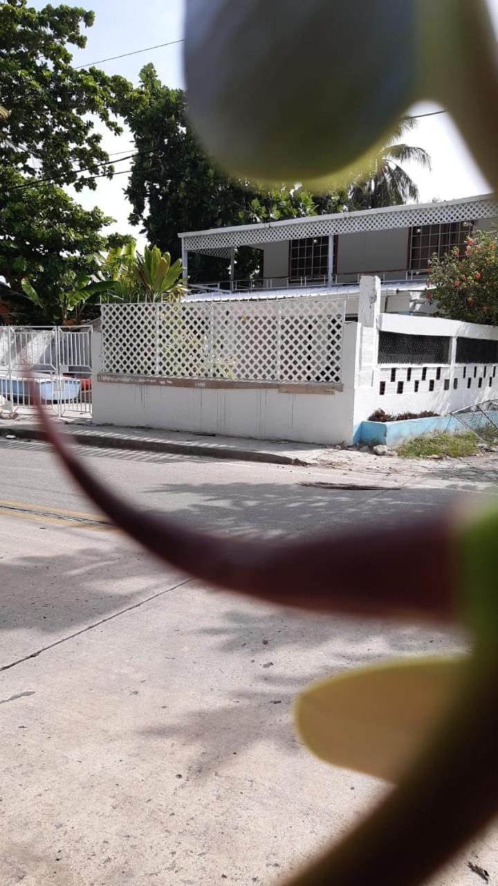 Joebi'S House Walking Distance To Rocky Cay Beach Ideal For Families Or Groups Buenavista  Exterior photo
